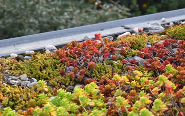 the cost of Tathall End green roof installation