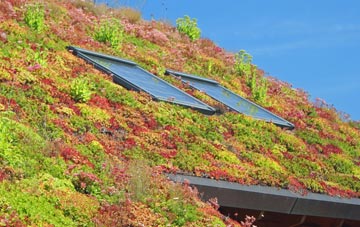 Tathall End living roof systems